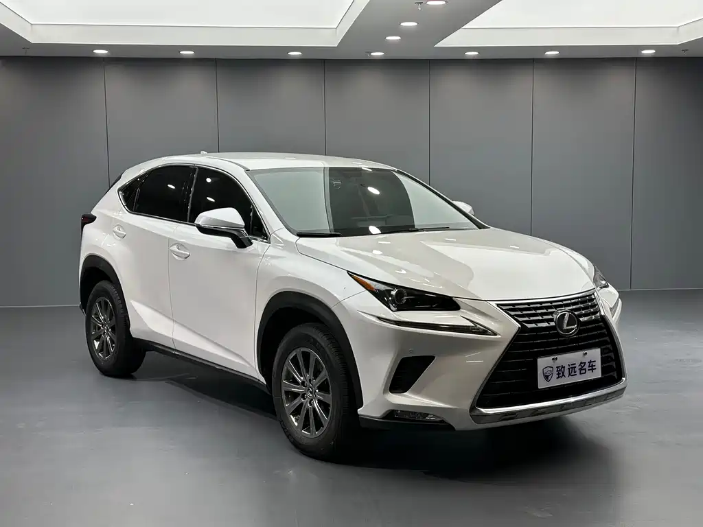 Lexus NX — фото 3