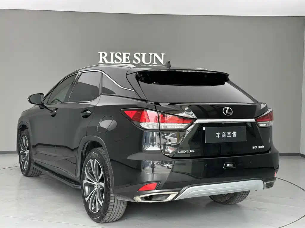 Lexus RX — фото 5