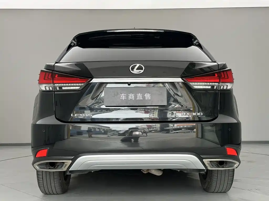 Lexus RX — фото 7