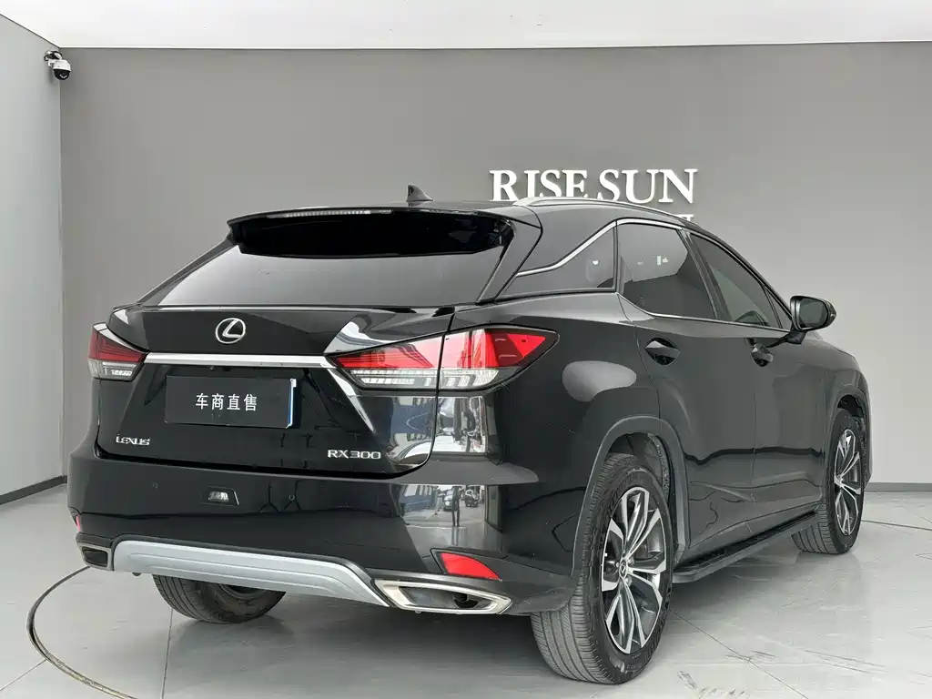 Lexus RX — фото 8