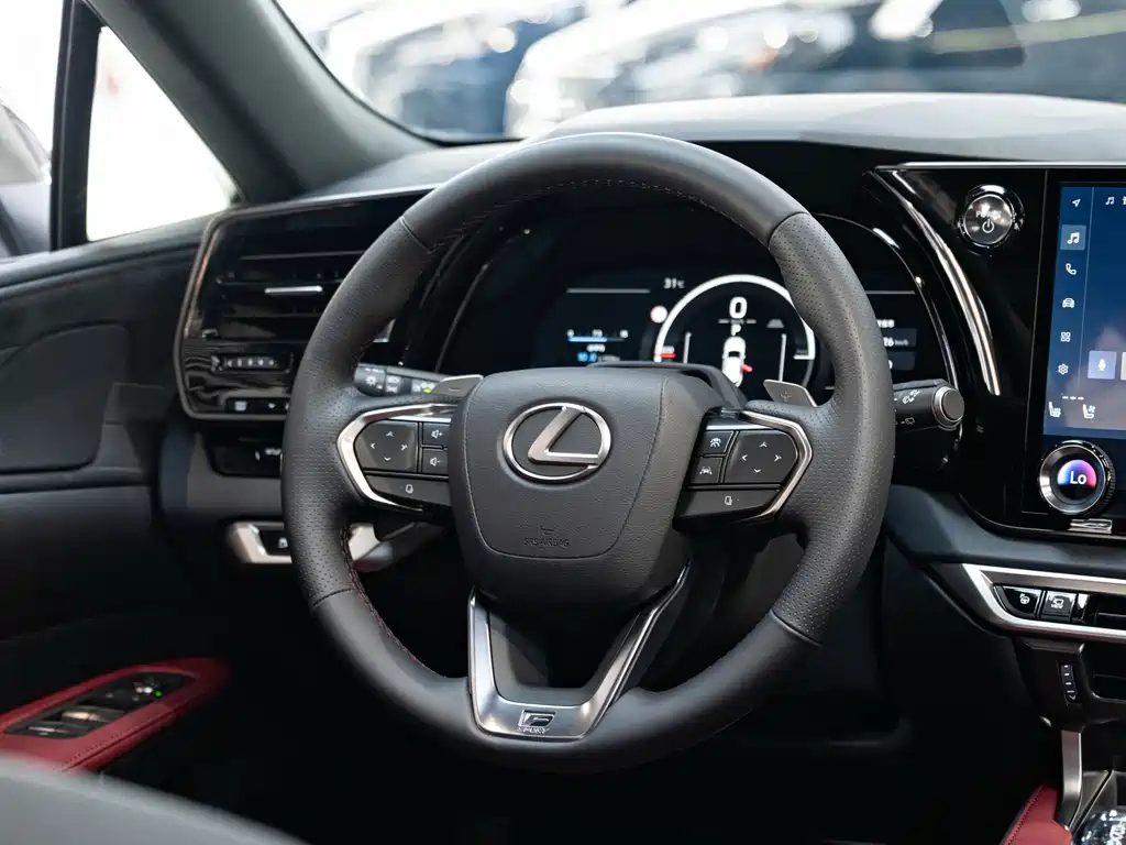 Lexus RX — фото 14