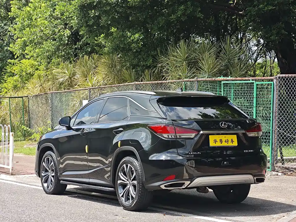 Lexus RX — фото 4