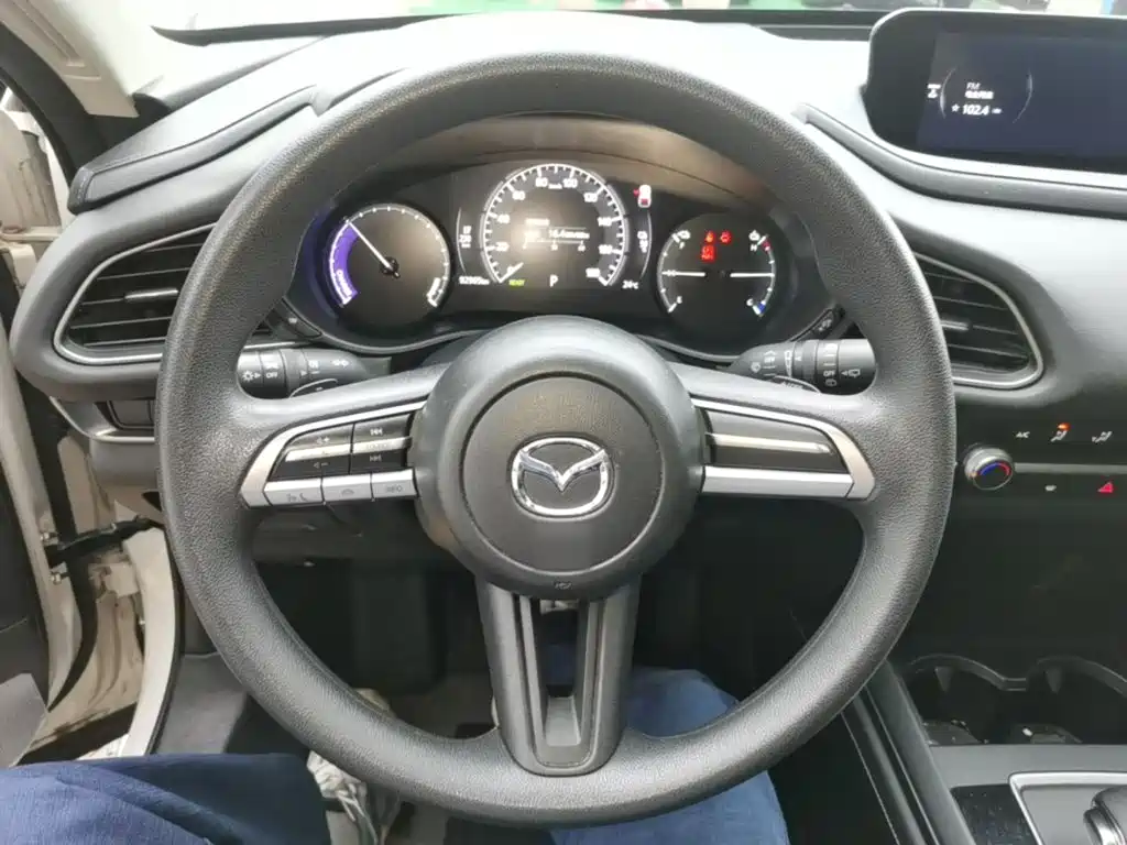 Mazda CX-30 EV — фото 11