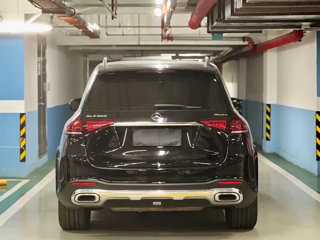 Mercedes-Benz GLE (Import) — фото 18