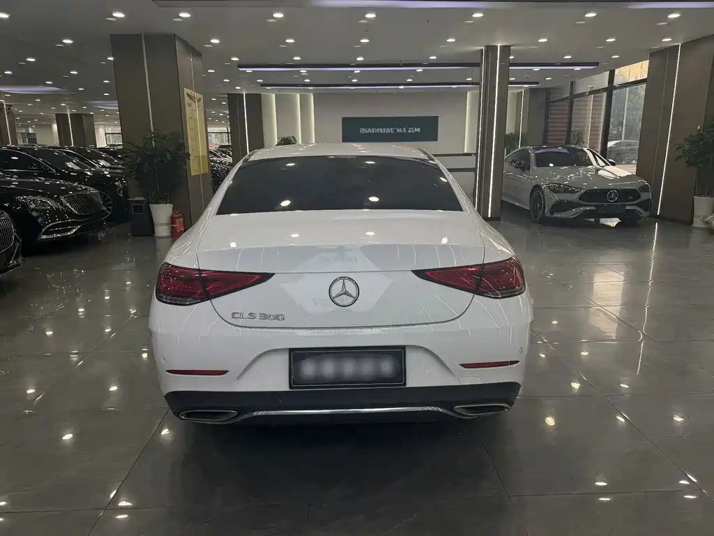 Mercedes-Benz CLS — фото 8