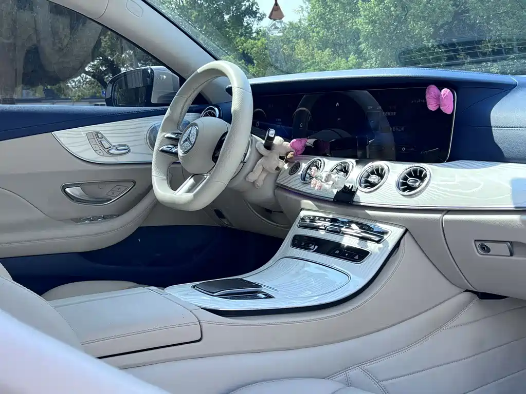 Mercedes-Benz E-Class (Import) — фото 8