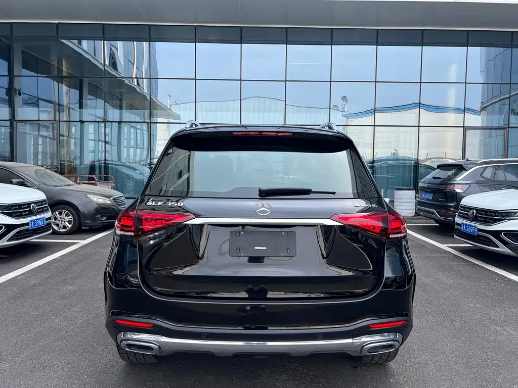 Mercedes-Benz GLE (Import) — фото 8