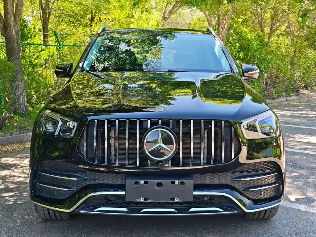 Mercedes-Benz GLE (Import) — фото 2