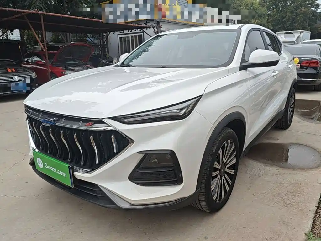 Oshan Oushang X5 — фото 2
