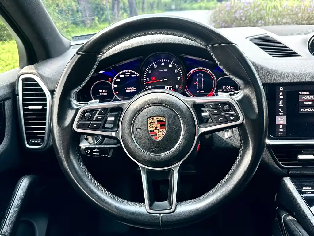 Porsche Cayenne — фото 9