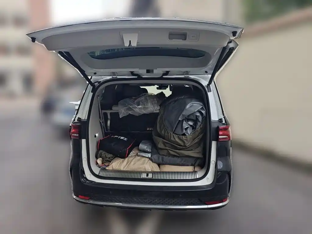 Roewe iMAX8 — фото 10