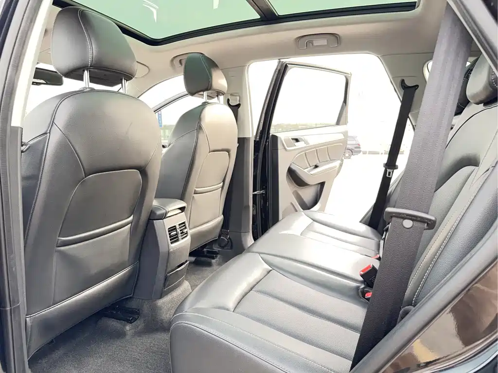 Roewe RX5 New Energy — фото 11