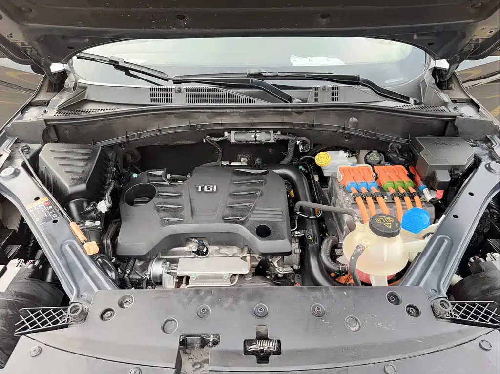 Roewe RX5 New Energy — фото 16