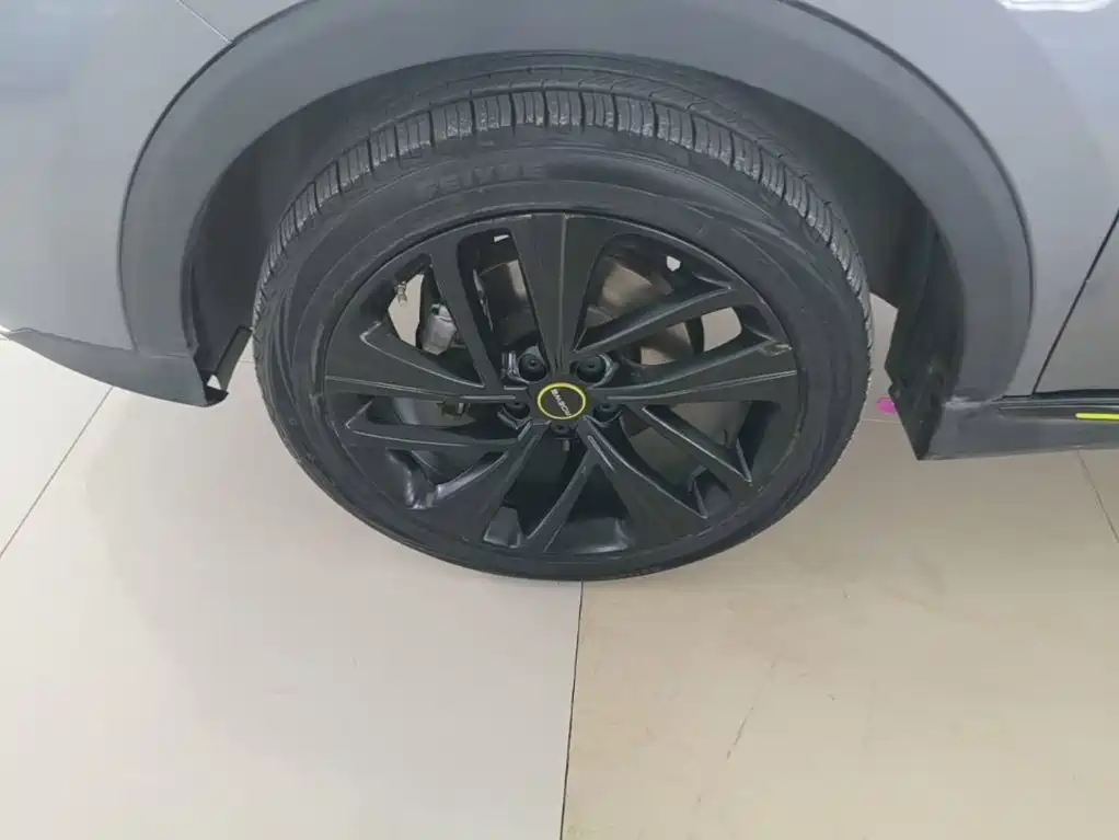 Roewe RX5 New Energy — фото 23