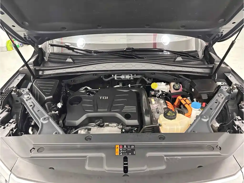 Roewe RX5 eMAX — фото 6