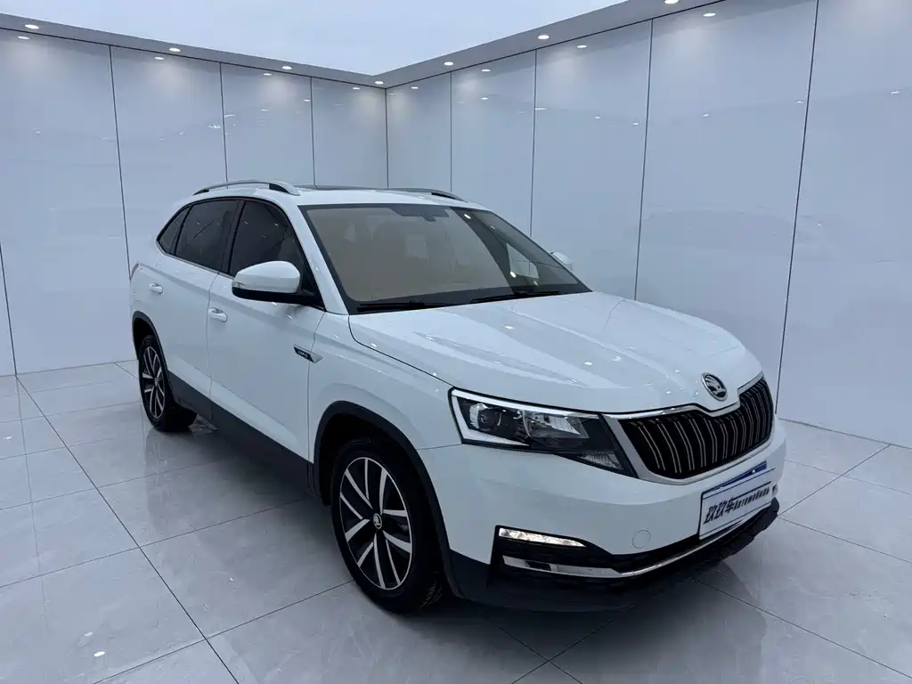 Skoda Kamiq — фото 3