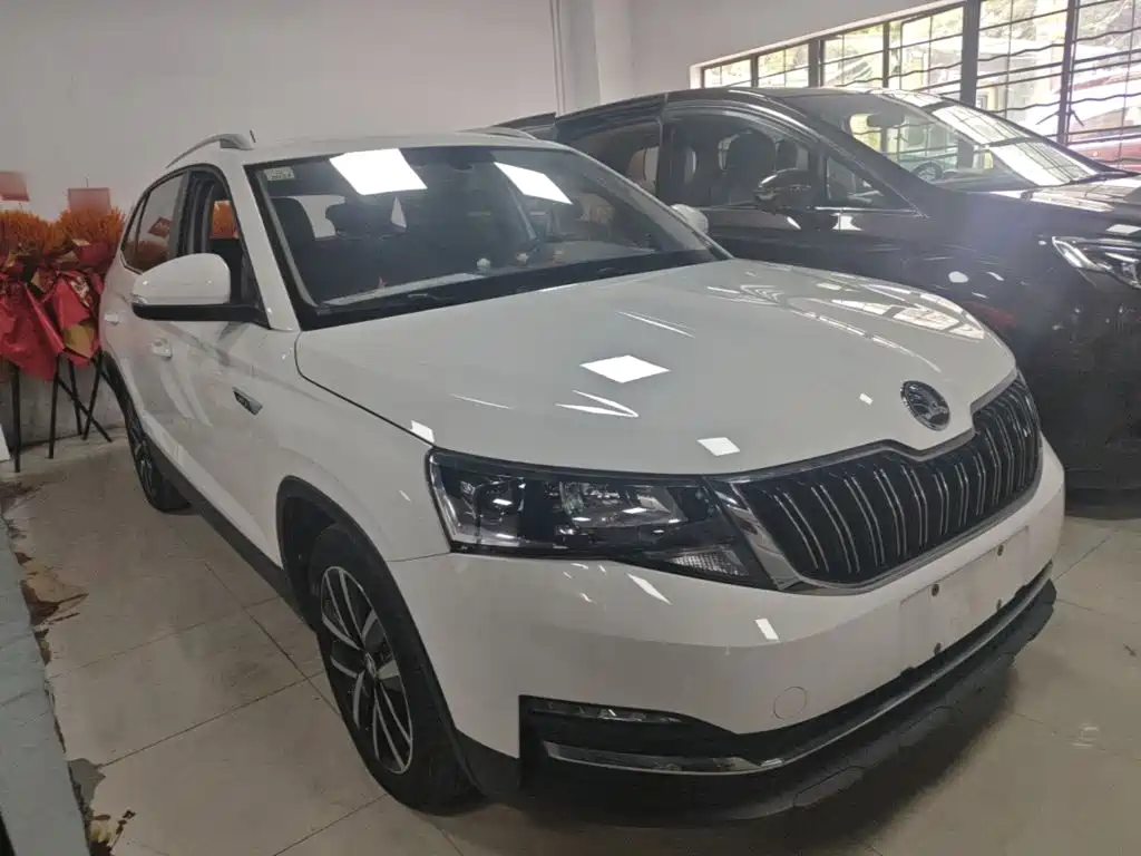 Skoda Kamiq — фото 4