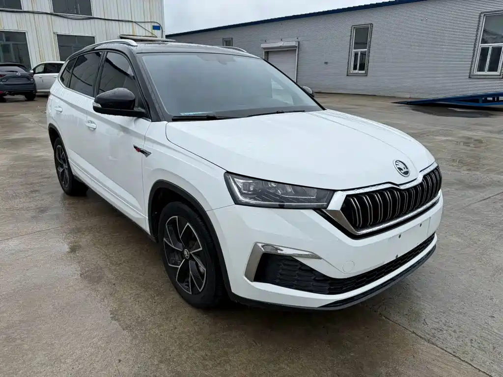 Skoda Kamiq — фото 2