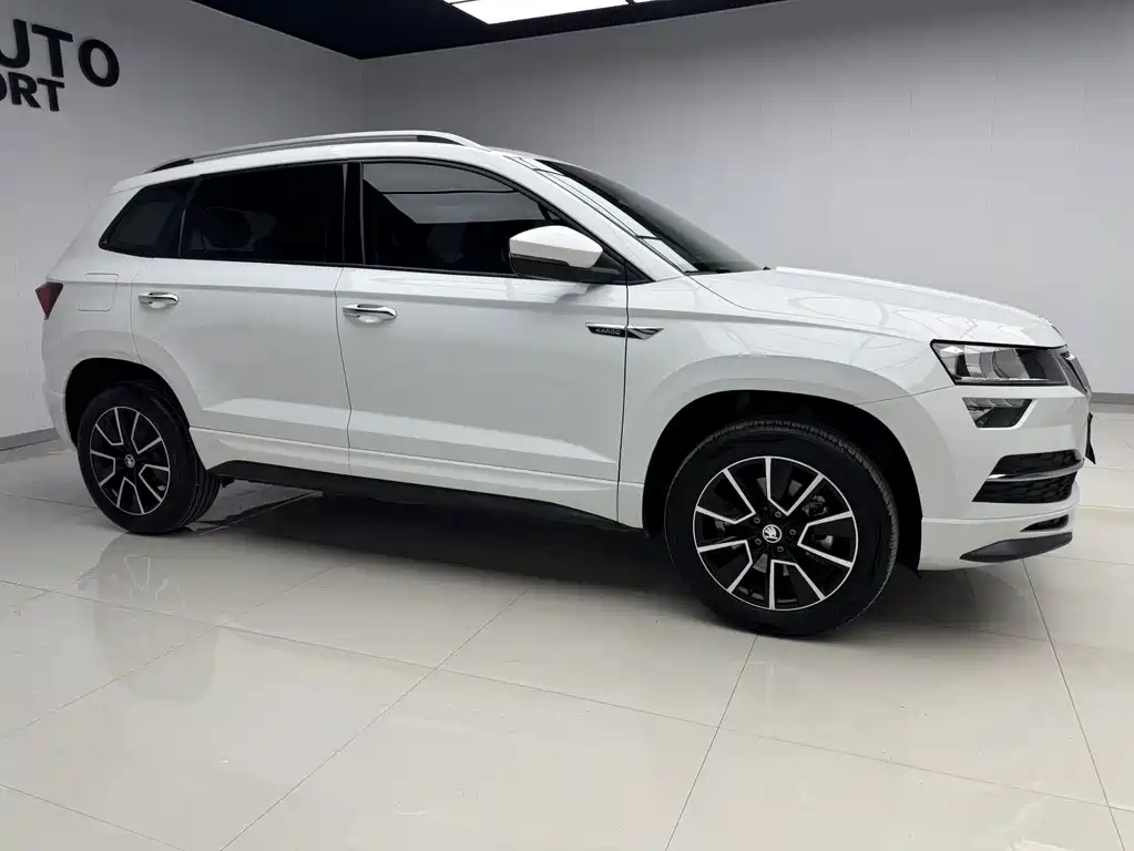 Skoda Karoq — фото 3