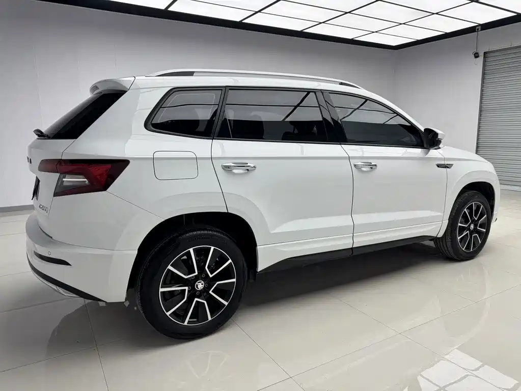 Skoda Karoq — фото 6