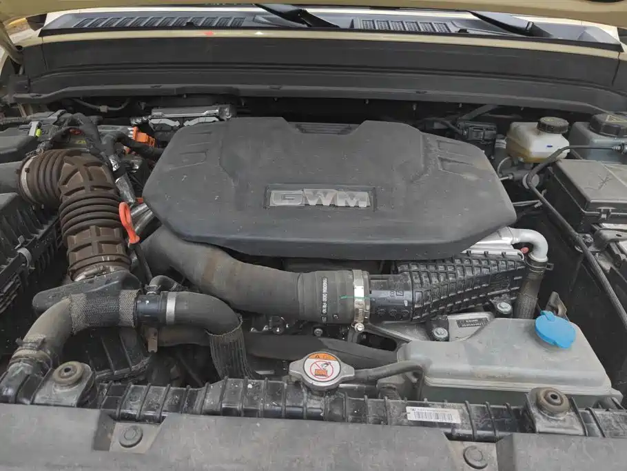 Tank Tank 300 New Energy — фото 10