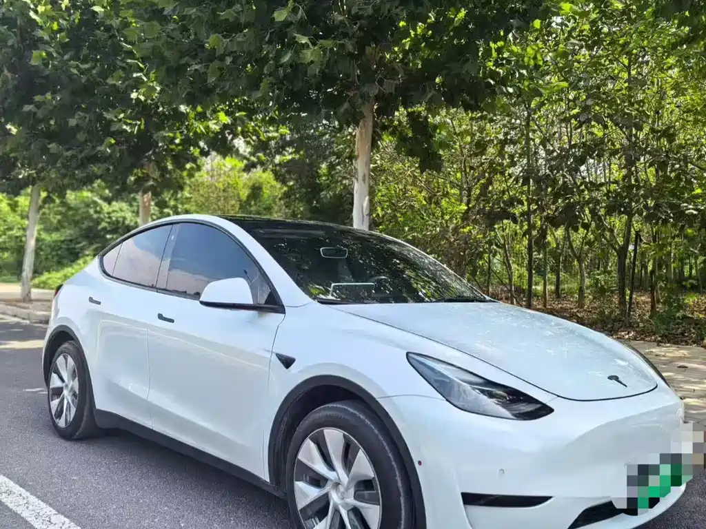 Tesla Model Y — фото 2