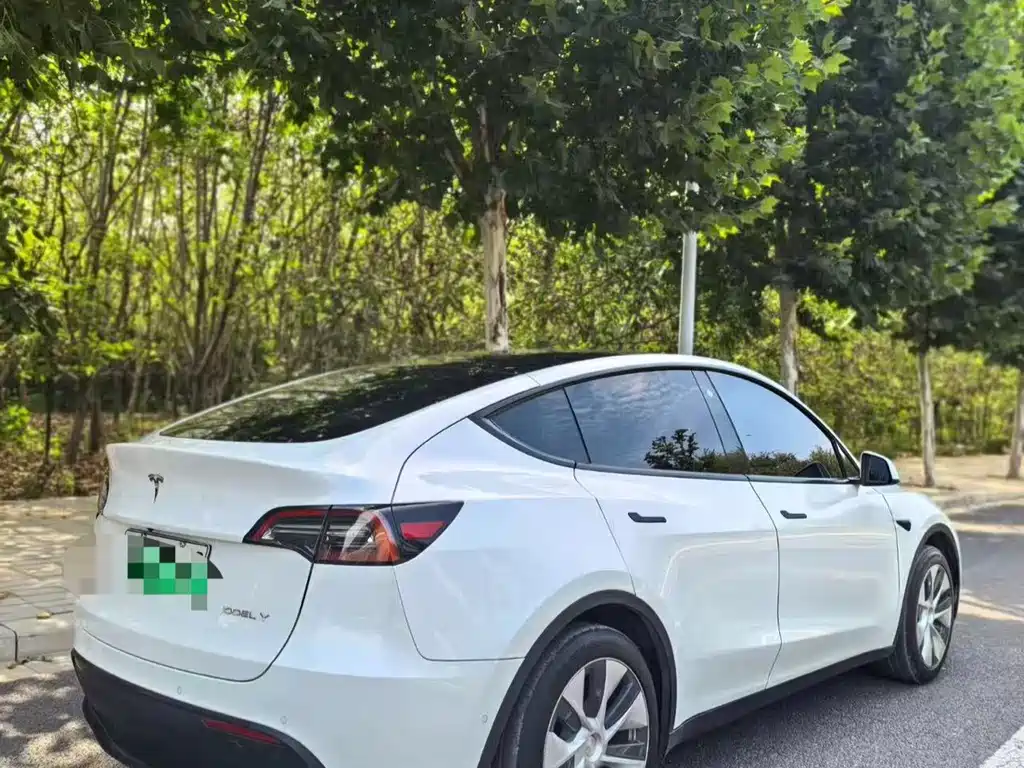 Tesla Model Y — фото 4