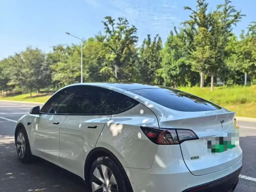 Tesla Model Y — фото 6
