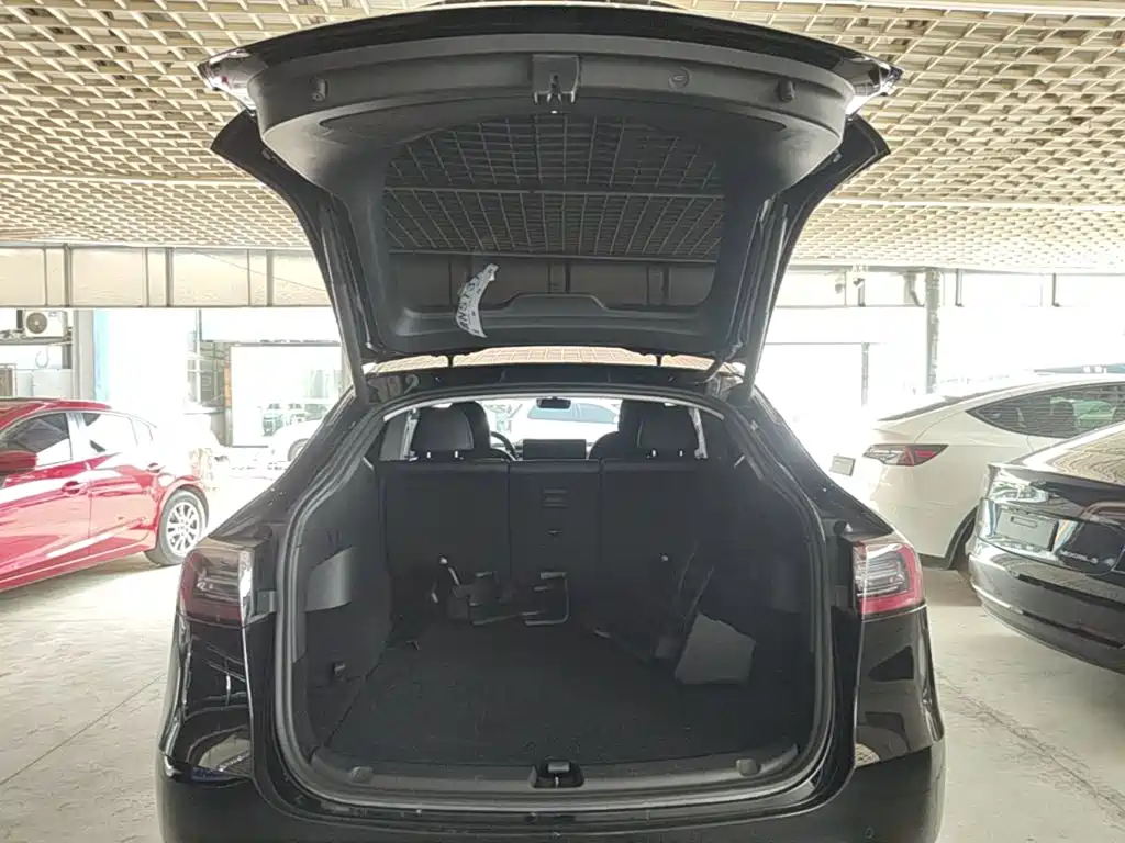 Tesla Model Y — фото 19