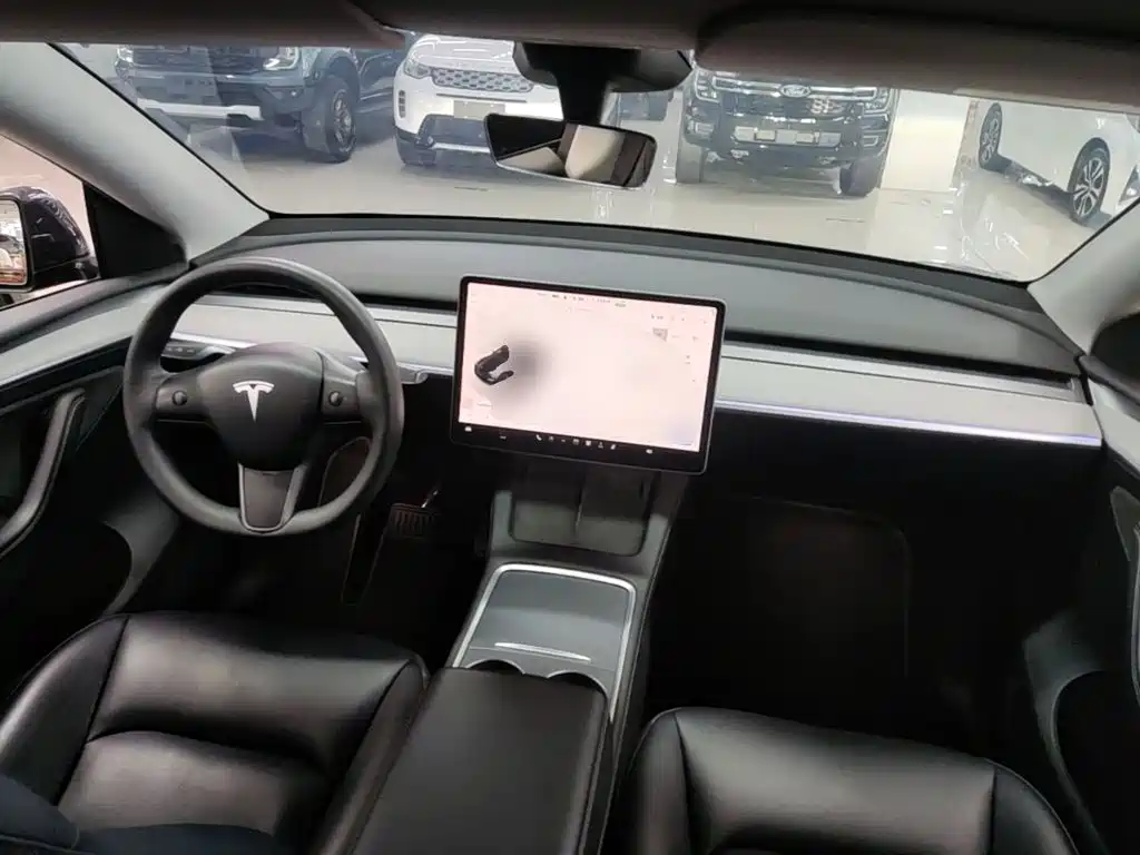 Tesla Model Y — фото 10