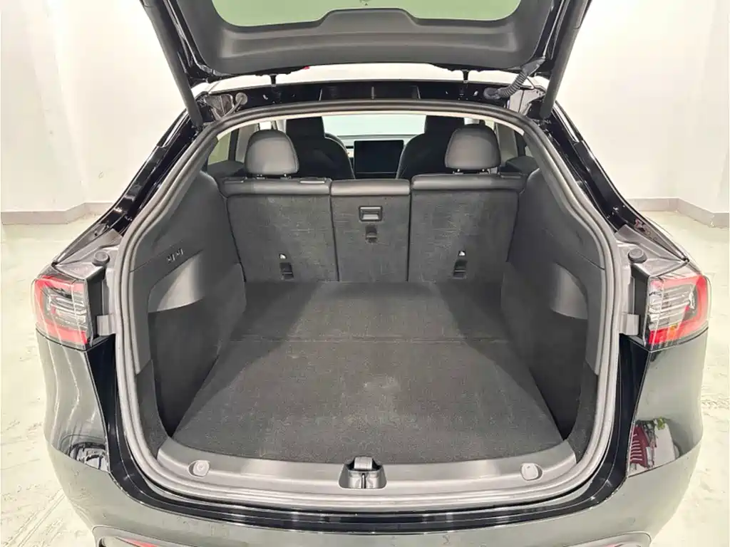 Tesla Model Y — фото 14