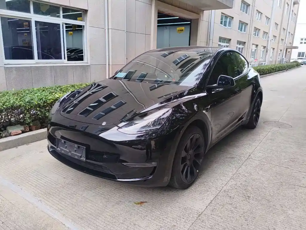 Tesla Model Y — фото 2