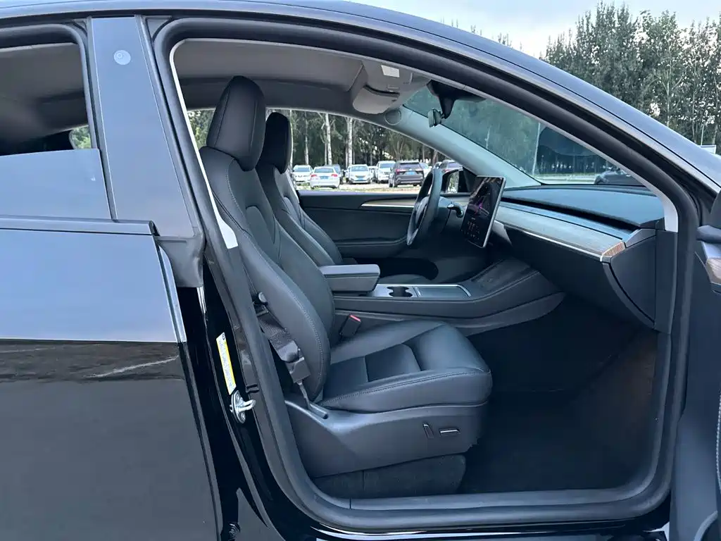 Tesla Model Y — фото 14