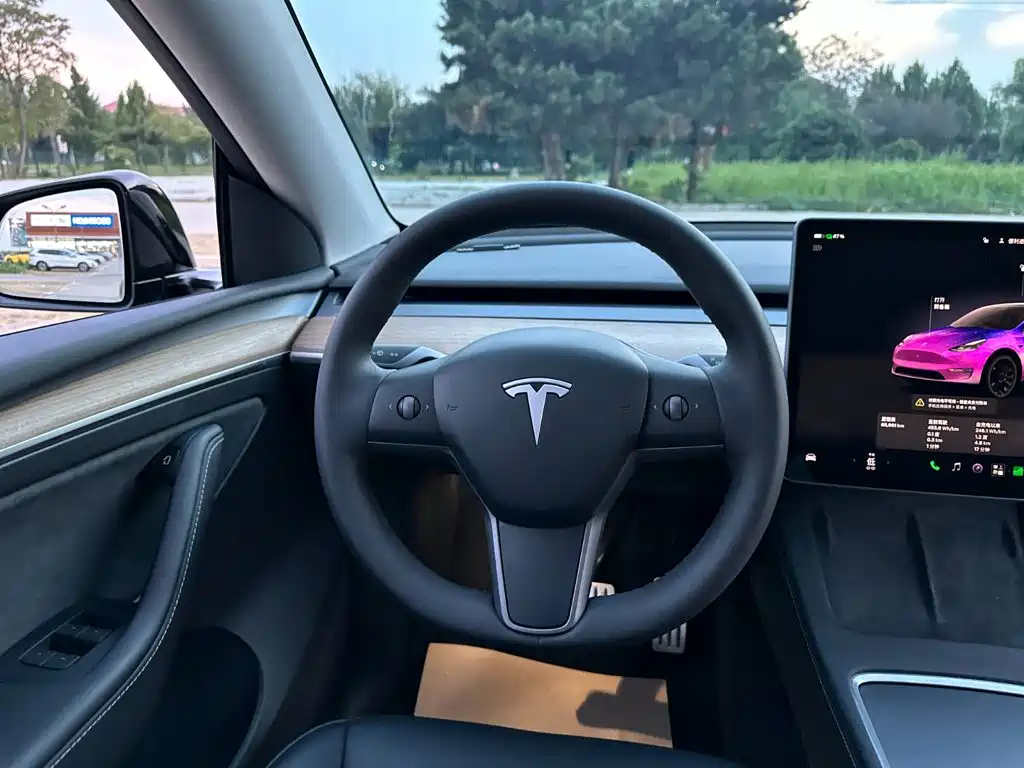 Tesla Model Y — фото 18