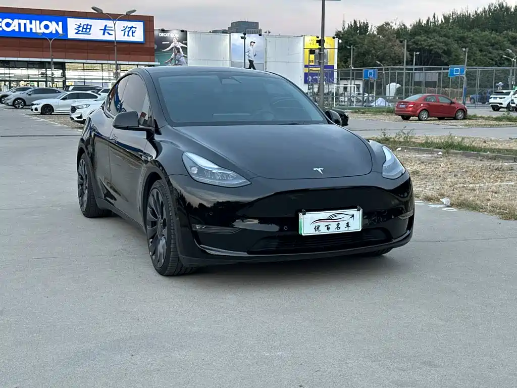 Tesla Model Y — фото 3