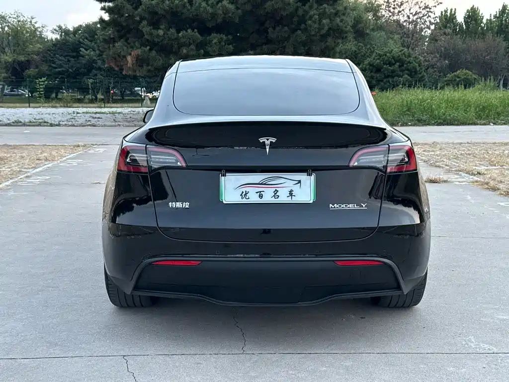 Tesla Model Y — фото 5