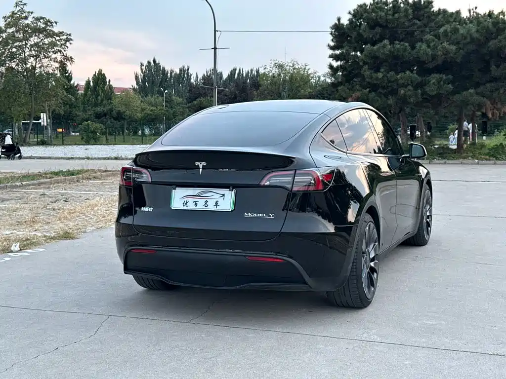 Tesla Model Y — фото 6