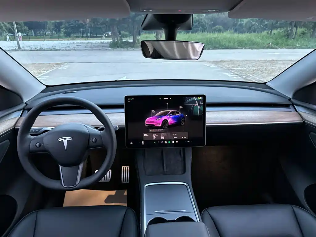Tesla Model Y — фото 10