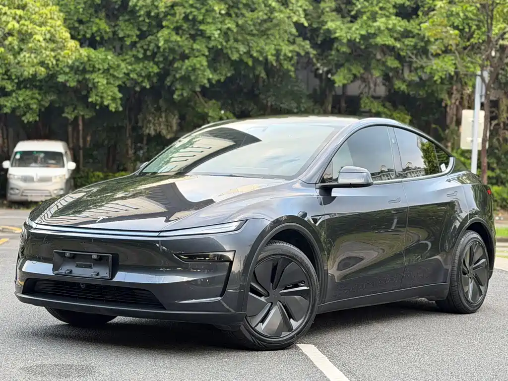 Tesla Model Y — фото 2
