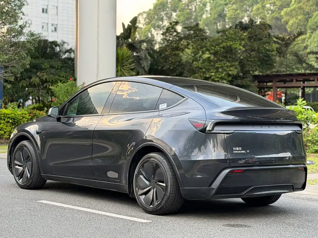 Tesla Model Y — фото 11