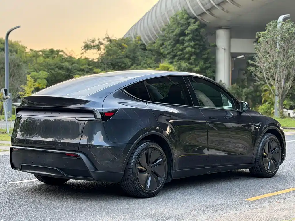Tesla Model Y — фото 13