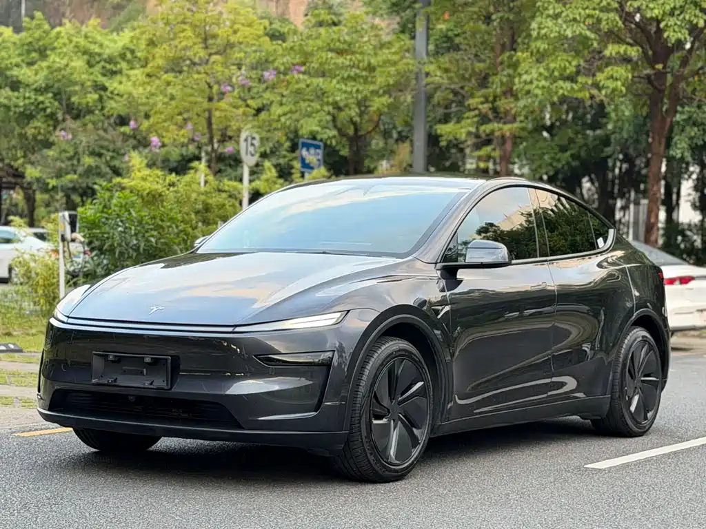 Tesla Model Y — фото 3