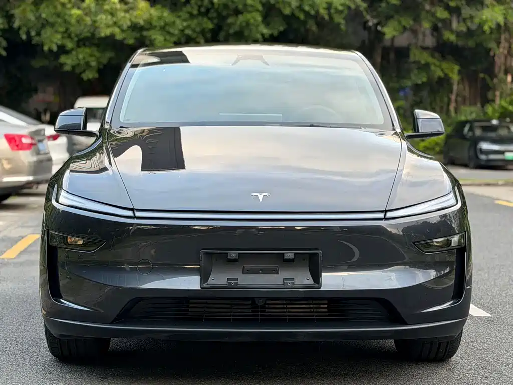 Tesla Model Y — фото 4