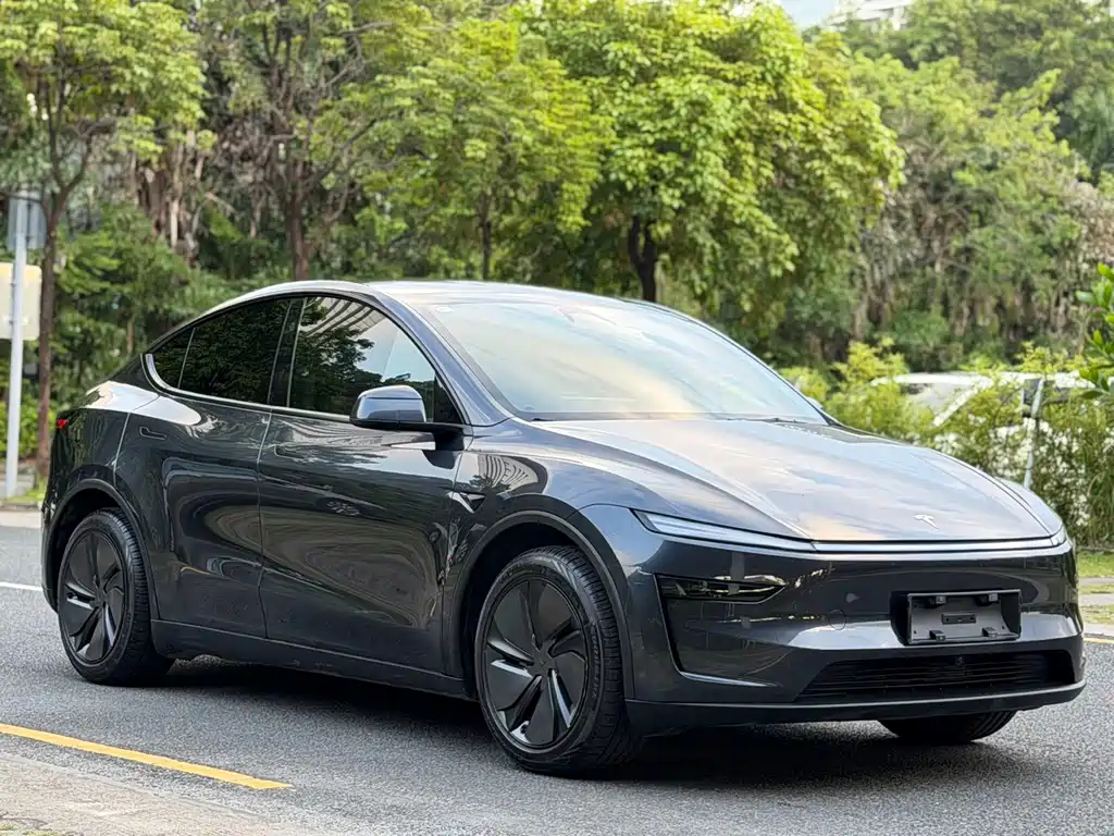 Tesla Model Y — фото 5