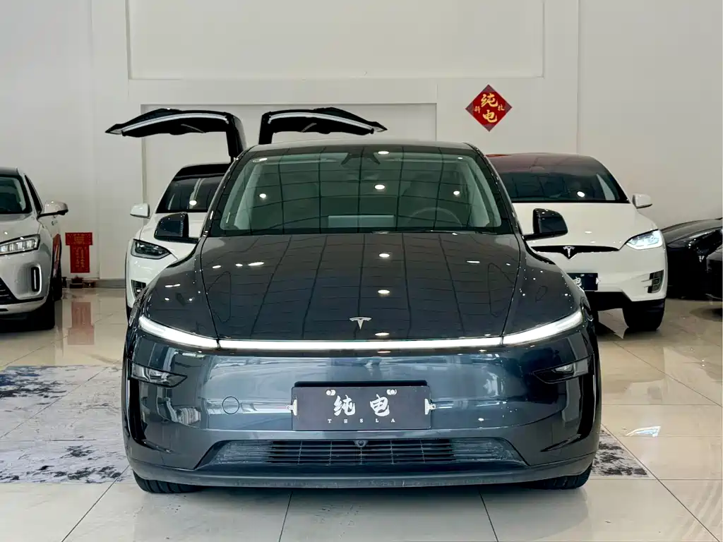Tesla Model Y — фото 2