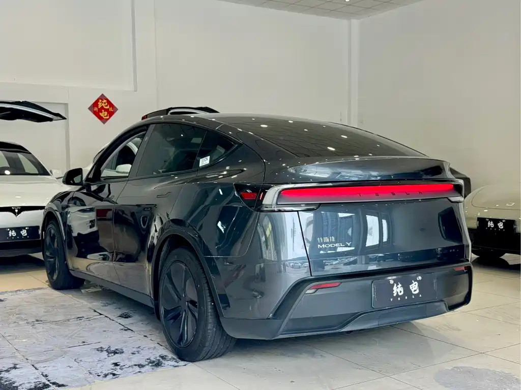 Tesla Model Y — фото 13