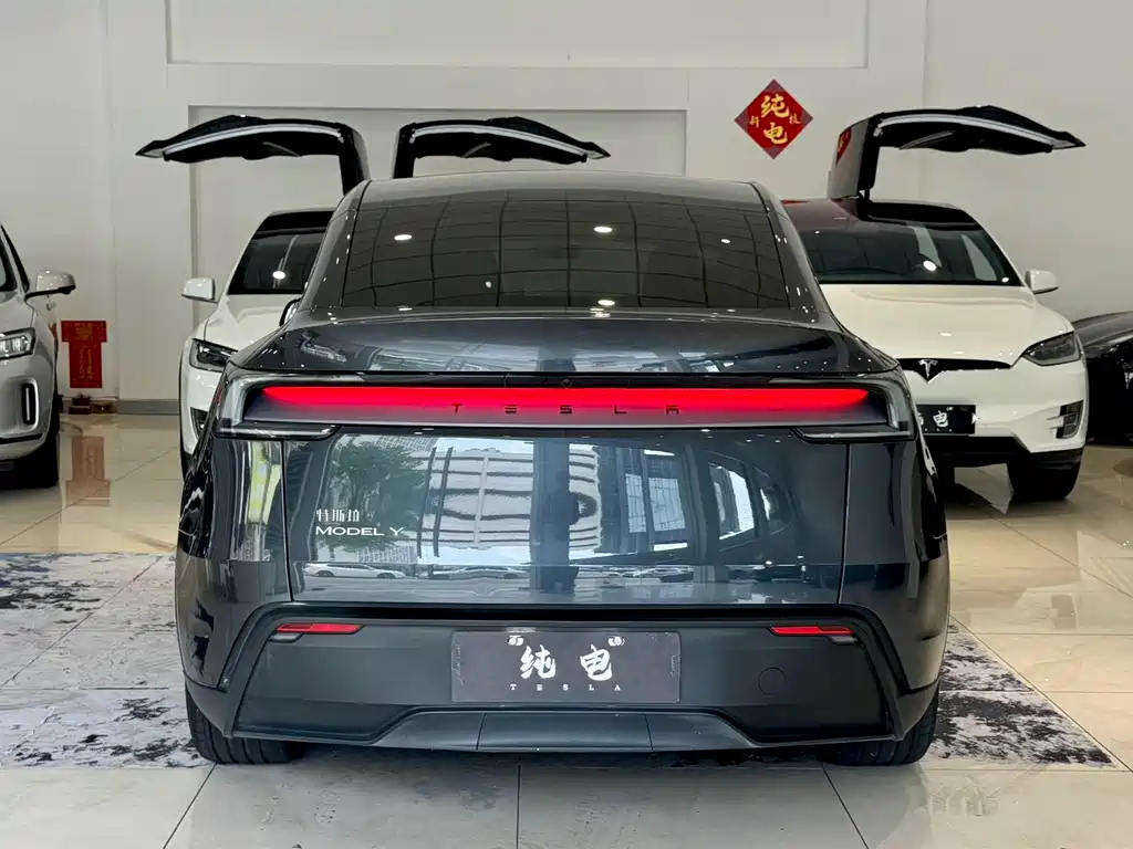 Tesla Model Y — фото 14