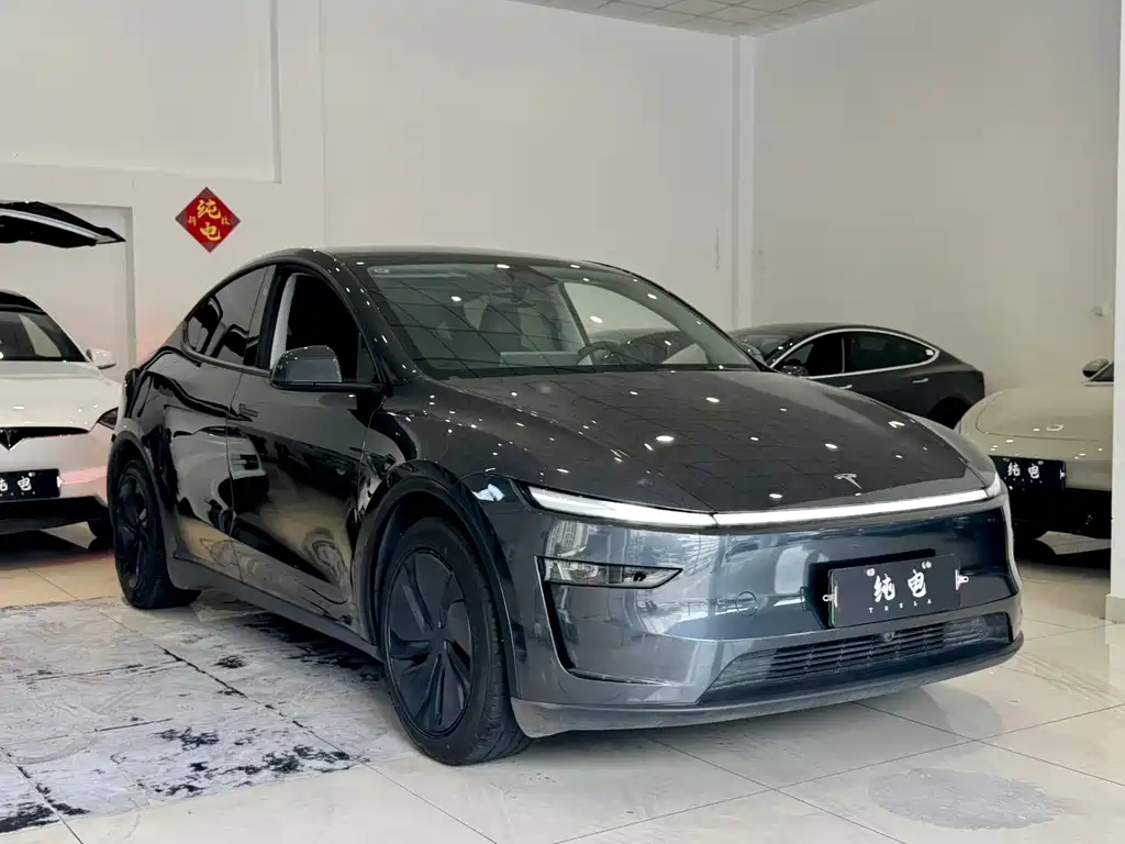 Tesla Model Y — фото 3