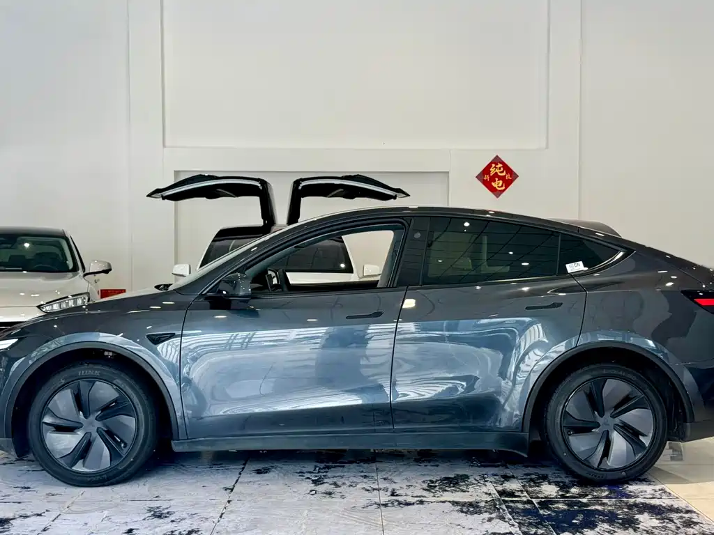 Tesla Model Y — фото 7