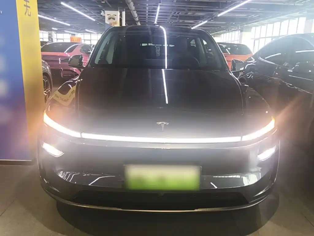 Tesla Model Y — фото 3